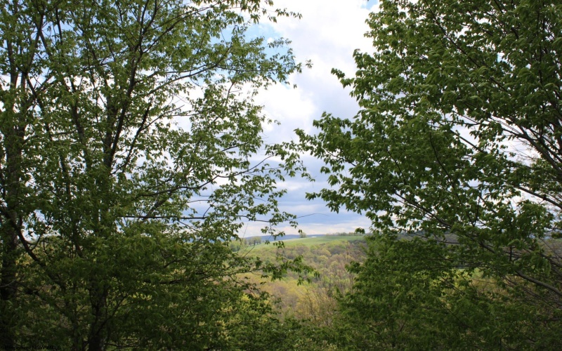 5360 Stemple Ridge Road, Aurora, West Virginia 26705, ,Lots/land,For Sale,Stemple Ridge,10159490