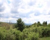5360 Stemple Ridge Road, Aurora, West Virginia 26705, ,Lots/land,For Sale,Stemple Ridge,10159490