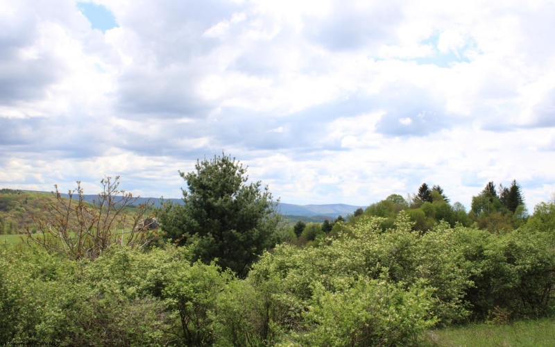 5360 Stemple Ridge Road, Aurora, West Virginia 26705, ,Lots/land,For Sale,Stemple Ridge,10159490