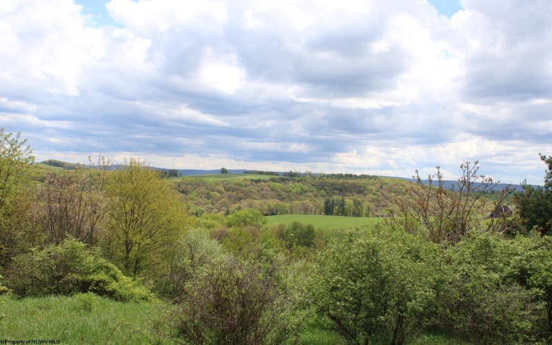 5360 Stemple Ridge Road, Aurora, West Virginia 26705, ,Lots/land,For Sale,Stemple Ridge,10159490