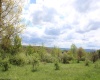5360 Stemple Ridge Road, Aurora, West Virginia 26705, ,Lots/land,For Sale,Stemple Ridge,10159490