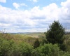 5360 Stemple Ridge Road, Aurora, West Virginia 26705, ,Lots/land,For Sale,Stemple Ridge,10159490