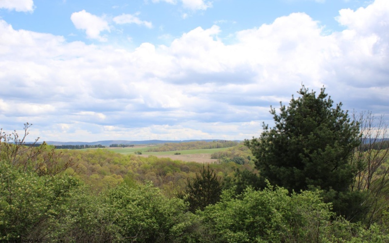 5360 Stemple Ridge Road, Aurora, West Virginia 26705, ,Lots/land,For Sale,Stemple Ridge,10159490