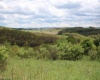 5360 Stemple Ridge Road, Aurora, West Virginia 26705, ,Lots/land,For Sale,Stemple Ridge,10159490