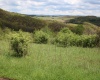 5360 Stemple Ridge Road, Aurora, West Virginia 26705, ,Lots/land,For Sale,Stemple Ridge,10159490