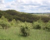 5360 Stemple Ridge Road, Aurora, West Virginia 26705, ,Lots/land,For Sale,Stemple Ridge,10159490