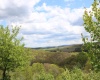 5360 Stemple Ridge Road, Aurora, West Virginia 26705, ,Lots/land,For Sale,Stemple Ridge,10159490