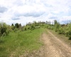 5360 Stemple Ridge Road, Aurora, West Virginia 26705, ,Lots/land,For Sale,Stemple Ridge,10159490