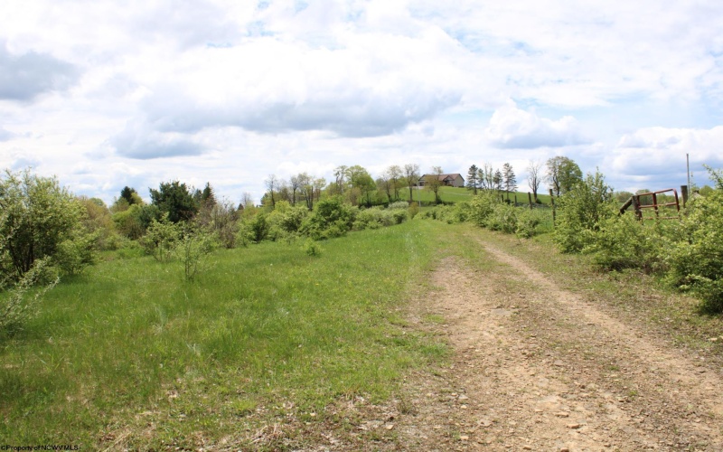5360 Stemple Ridge Road, Aurora, West Virginia 26705, ,Lots/land,For Sale,Stemple Ridge,10159490
