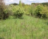 5360 Stemple Ridge Road, Aurora, West Virginia 26705, ,Lots/land,For Sale,Stemple Ridge,10159490