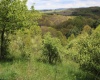 5360 Stemple Ridge Road, Aurora, West Virginia 26705, ,Lots/land,For Sale,Stemple Ridge,10159490