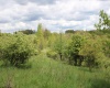 5360 Stemple Ridge Road, Aurora, West Virginia 26705, ,Lots/land,For Sale,Stemple Ridge,10159490