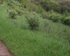 5360 Stemple Ridge Road, Aurora, West Virginia 26705, ,Lots/land,For Sale,Stemple Ridge,10159490