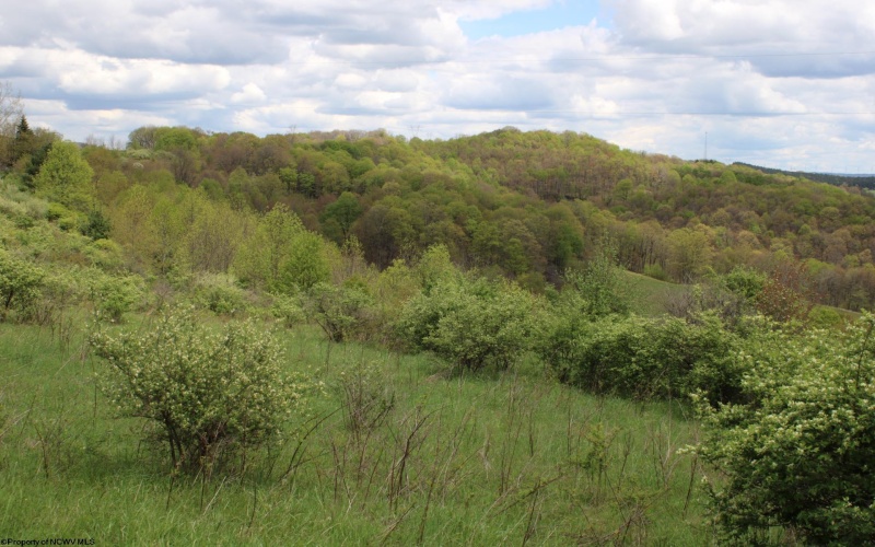 5360 Stemple Ridge Road, Aurora, West Virginia 26705, ,Lots/land,For Sale,Stemple Ridge,10159490