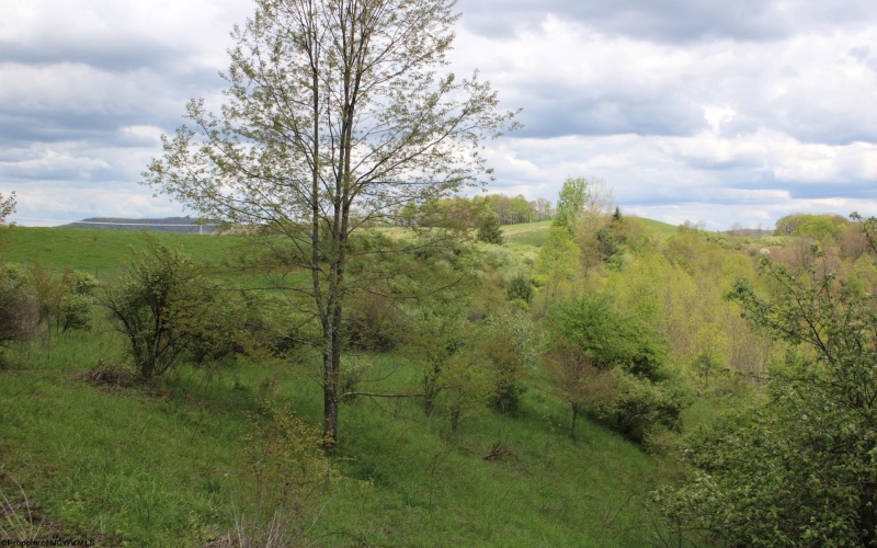 5360 Stemple Ridge Road, Aurora, West Virginia 26705, ,Lots/land,For Sale,Stemple Ridge,10159490
