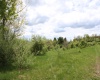 5360 Stemple Ridge Road, Aurora, West Virginia 26705, ,Lots/land,For Sale,Stemple Ridge,10159490