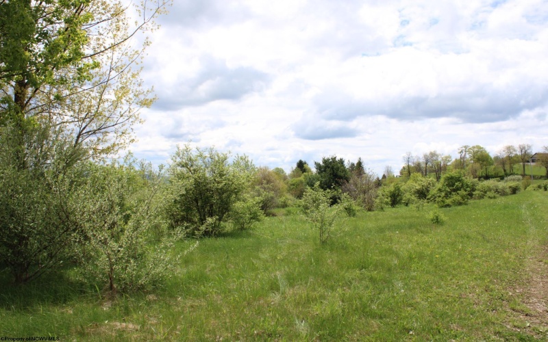 5360 Stemple Ridge Road, Aurora, West Virginia 26705, ,Lots/land,For Sale,Stemple Ridge,10159490