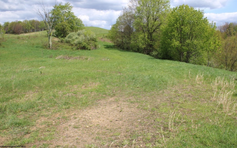 5360 Stemple Ridge Road, Aurora, West Virginia 26705, ,Lots/land,For Sale,Stemple Ridge,10159490