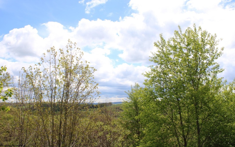 5360 Stemple Ridge Road, Aurora, West Virginia 26705, ,Lots/land,For Sale,Stemple Ridge,10159490