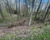 LOT 57 and 58 Chestnut Drive, Terra Alta, West Virginia 26764, ,Lots/land,For Sale,Chestnut,10159509