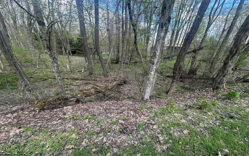 LOT 57 and 58 Chestnut Drive, Terra Alta, West Virginia 26764, ,Lots/land,For Sale,Chestnut,10159509