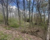 LOT 57 and 58 Chestnut Drive, Terra Alta, West Virginia 26764, ,Lots/land,For Sale,Chestnut,10159509