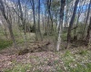 LOT 57 and 58 Chestnut Drive, Terra Alta, West Virginia 26764, ,Lots/land,For Sale,Chestnut,10159509