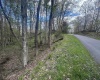LOT 57 and 58 Chestnut Drive, Terra Alta, West Virginia 26764, ,Lots/land,For Sale,Chestnut,10159509