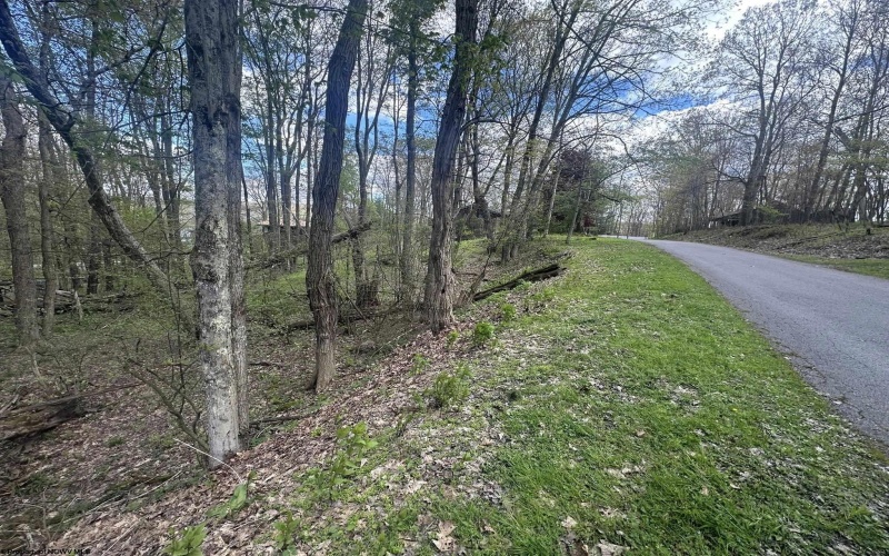 LOT 57 and 58 Chestnut Drive, Terra Alta, West Virginia 26764, ,Lots/land,For Sale,Chestnut,10159509