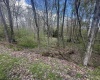 LOT 57 and 58 Chestnut Drive, Terra Alta, West Virginia 26764, ,Lots/land,For Sale,Chestnut,10159509