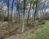 LOT 57 and 58 Chestnut Drive, Terra Alta, West Virginia 26764, ,Lots/land,For Sale,Chestnut,10159509