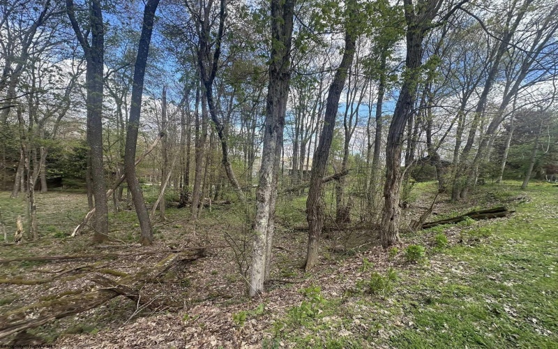 LOT 57 and 58 Chestnut Drive, Terra Alta, West Virginia 26764, ,Lots/land,For Sale,Chestnut,10159509