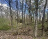LOT 57 and 58 Chestnut Drive, Terra Alta, West Virginia 26764, ,Lots/land,For Sale,Chestnut,10159509