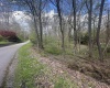 LOT 57 and 58 Chestnut Drive, Terra Alta, West Virginia 26764, ,Lots/land,For Sale,Chestnut,10159509