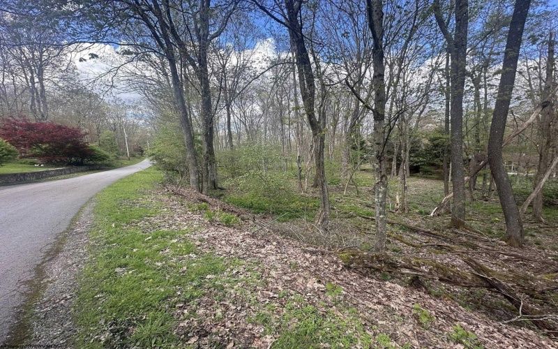 LOT 57 and 58 Chestnut Drive, Terra Alta, West Virginia 26764, ,Lots/land,For Sale,Chestnut,10159509