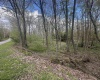 LOT 57 and 58 Chestnut Drive, Terra Alta, West Virginia 26764, ,Lots/land,For Sale,Chestnut,10159509