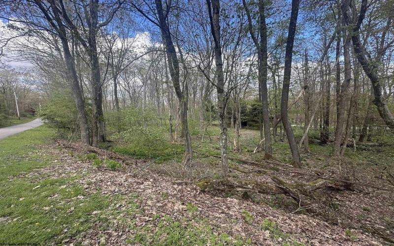 LOT 57 and 58 Chestnut Drive, Terra Alta, West Virginia 26764, ,Lots/land,For Sale,Chestnut,10159509