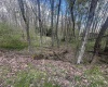 LOT 57 and 58 Chestnut Drive, Terra Alta, West Virginia 26764, ,Lots/land,For Sale,Chestnut,10159509