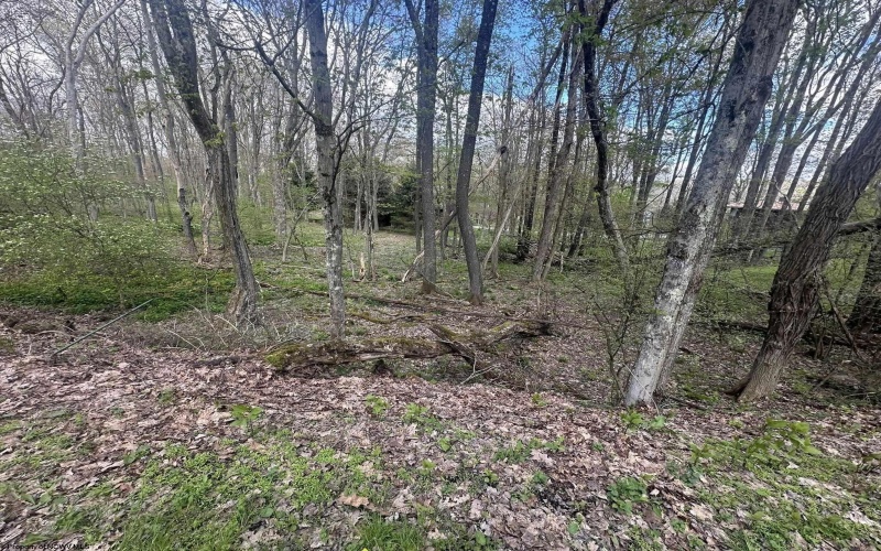 LOT 57 and 58 Chestnut Drive, Terra Alta, West Virginia 26764, ,Lots/land,For Sale,Chestnut,10159509