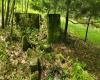 TBD Maple Run, Fairmont, West Virginia 26554-9999, ,Lots/land,For Sale,Maple,10159506