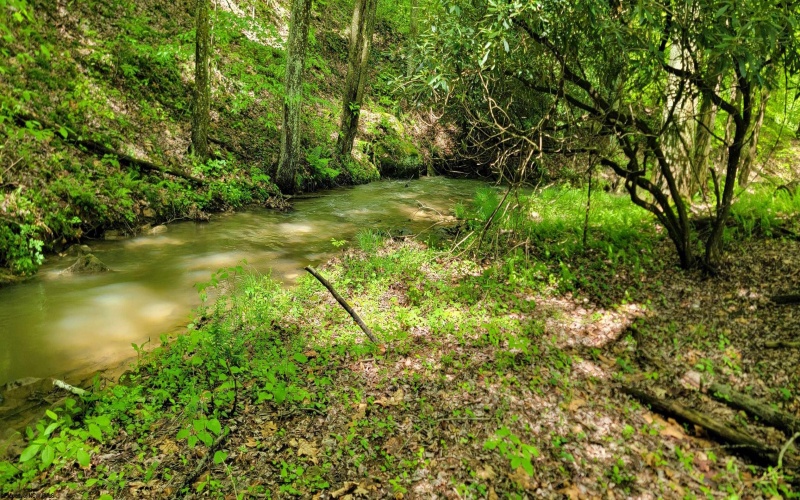 TBD Maple Run, Fairmont, West Virginia 26554-9999, ,Lots/land,For Sale,Maple,10159506