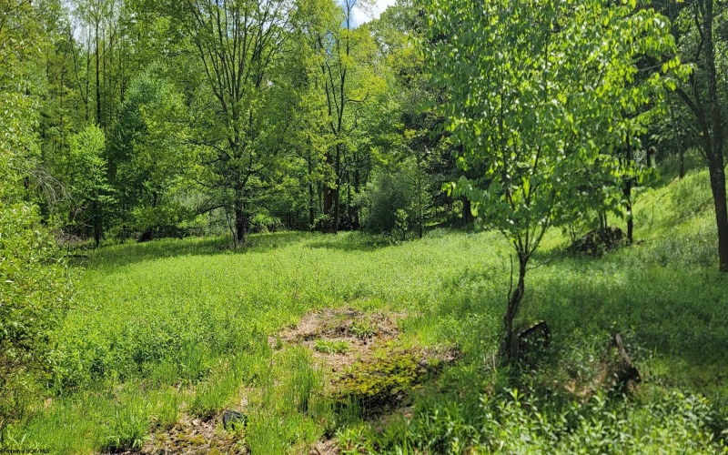 TBD Maple Run, Fairmont, West Virginia 26554-9999, ,Lots/land,For Sale,Maple,10159506