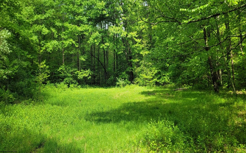 TBD Maple Run, Fairmont, West Virginia 26554-9999, ,Lots/land,For Sale,Maple,10159506