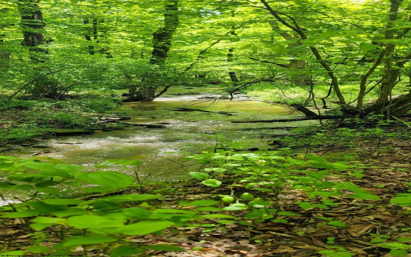 TBD Maple Run, Fairmont, West Virginia 26554-9999, ,Lots/land,For Sale,Maple,10159506