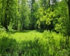 TBD Maple Run, Fairmont, West Virginia 26554-9999, ,Lots/land,For Sale,Maple,10159506