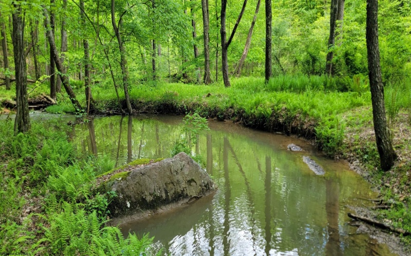 TBD Maple Run, Fairmont, West Virginia 26554-9999, ,Lots/land,For Sale,Maple,10159506