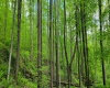 TBD Maple Run, Fairmont, West Virginia 26554-9999, ,Lots/land,For Sale,Maple,10159506