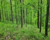 TBD Maple Run, Fairmont, West Virginia 26554-9999, ,Lots/land,For Sale,Maple,10159506