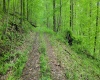 TBD Maple Run, Fairmont, West Virginia 26554-9999, ,Lots/land,For Sale,Maple,10159506