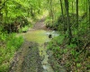 TBD Maple Run, Fairmont, West Virginia 26554-9999, ,Lots/land,For Sale,Maple,10159506